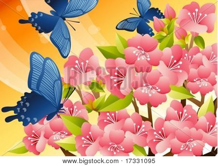 Sweet Spring