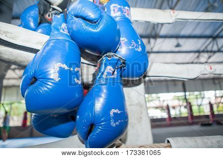 ฺblue Muay Thai Boxing Gloves Hanging On Corner Of  Boxing Ring In Camp