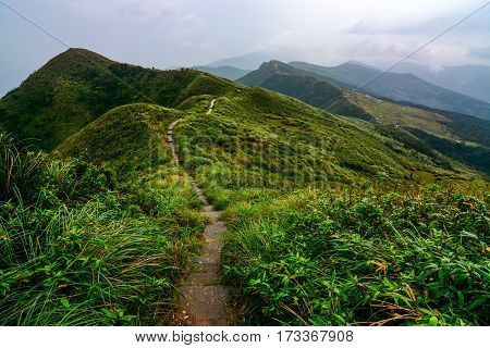 Peaceful path through green coastal hills and grasslands on the Caoling Historic Trail in Taiwan