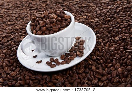 white cup of coffee beans at coffee beans