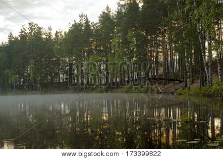 Fog on the surface of the forest lake, forest reflected in water