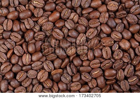 Texture of Colombia Supremo (gourmet coffee). Macro photo of texture.