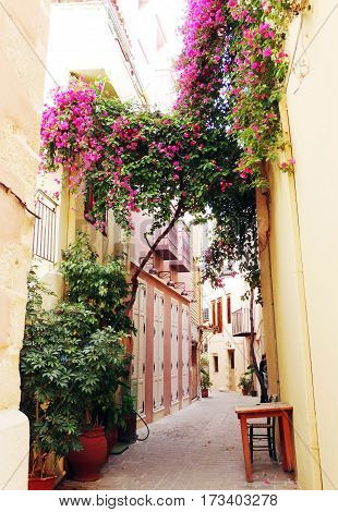 door architecture detail in house building with bougainvillea Greece