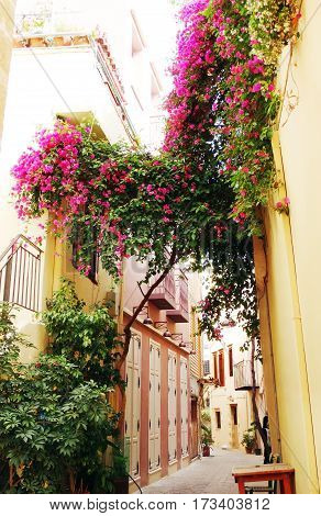 door architecture detail in house building with bougainvillea Greece