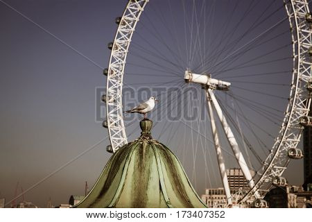 LONDON, UK - JANUARY 26, 2017: The EDF Energy London Eye next to the river Thames, UK