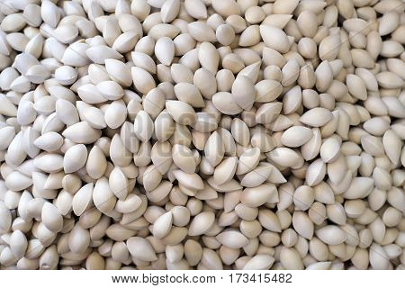 The Gingko Nuts and background stock photo