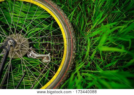 Bicycle Wheel On Green Grass