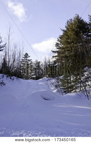 Vertical of a small of fresh snow rising up to a background of green fir trees with a small animal hole midway up at Pabineau Falls near Bathurst, New Brunswick on a bright sunny day with blue skies and clouds in February.
