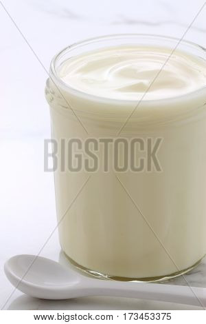 Plain French Style Yogurt