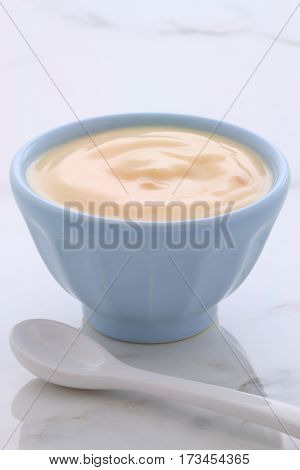 Plain French Style Yogurt