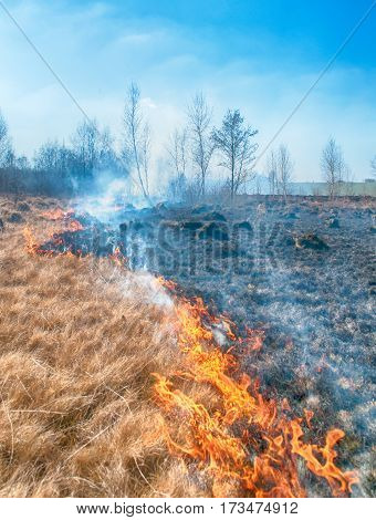fire on spring field. A close up