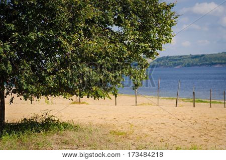 Beautiful summer landscape with a blue river and green big tree