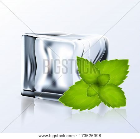 Bright Ice Block With Peppermint.eps