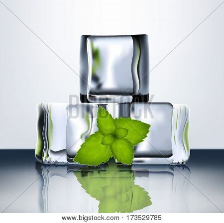 Transparent Ice Blocks With Mint.eps