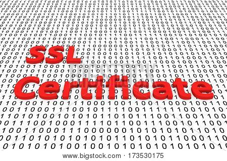 ssl certificate in the form of binary code, 3D illustration