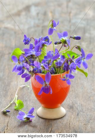 violets flowers (Viola odorata) on wood background