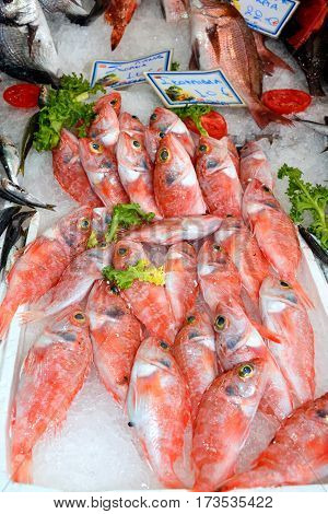 Fresh fish for sale on a market stall along an alleyway in the city centre Heraklion Crete Greece Europe.