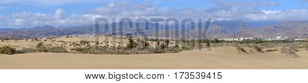 View on the natural reserve La Charca on Maspalomas with mountains and sand dunes Gran Canaria Spain. Panorama format.
