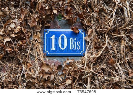 The blue number pointer of the house among the dry leaves