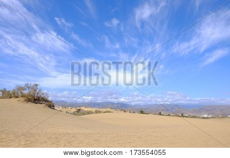 View on the dunes of Maspalomas and beautiful blue sky with white clouds and mountains on the Canary Island Gran Canaria Spain.