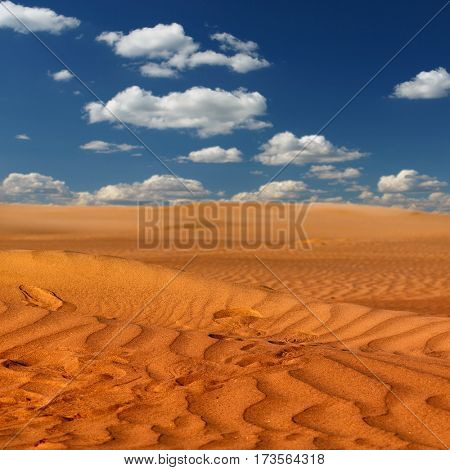 Beautiful sand dunes in the Sahara deser 