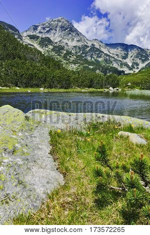Landscape with Reflection of Muratov peak in river,  Pirin Mountain, Bulgaria