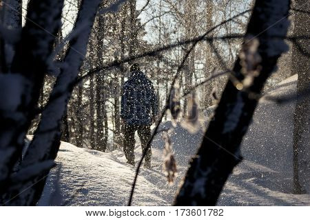 Tourist in winter forest. Snow is coming