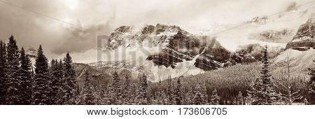 Bow Lake panorama with snow capped mountain and forest in Banff National Park