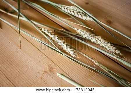 ripe ears of wheat on wooden table surface