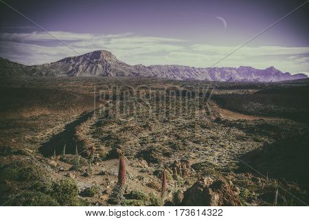 Anaga Mountain In Tenerife, Spain, Europe