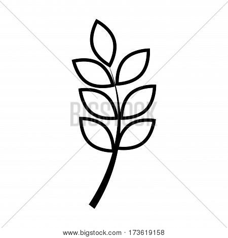 silhouette leaf with ramifications plant vector illustration