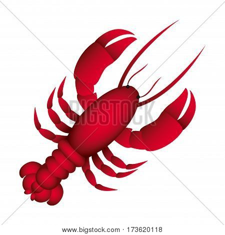 red lobster icon image, vector illustraction design