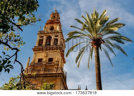 Main bell tower of the Cathedral. The former minaret of the mosque of Cordoba. Spain. Andalusia.