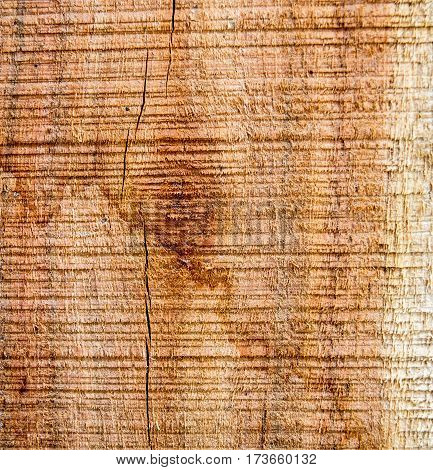 Formed on the surface of the wood background.