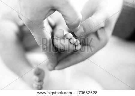 Father or mother holding foot of newborn baby. Adult hand and baby tiny baby feet. Happy parenthood, carefree childhood, family, love, tenderness. In black-and-white, monochrome