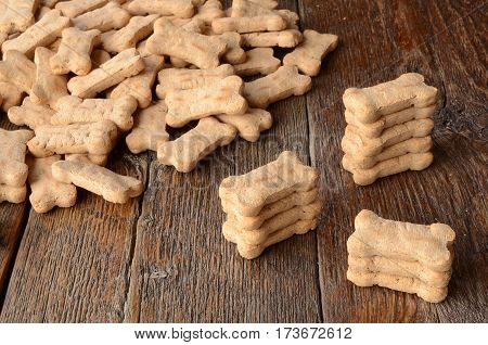 A top view image of several bone shaped dog treats.
