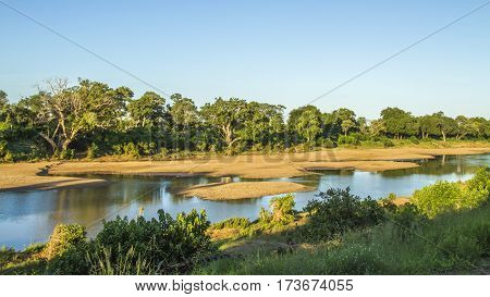 landscape of Shingwedzi river in Kruger national park, South Africa