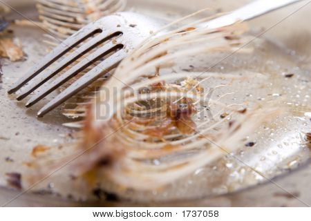 Kılçık plaka üzerinde