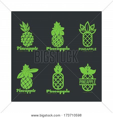 Set of green graphic pineapple logo templates, vector illustration isolated on black background. Stylized graphic pineapple logotype, logo design