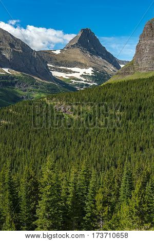 Scenic View In Glacier National Park