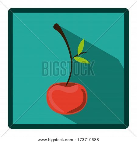 emblem cherry icon image, vector illustration design stock