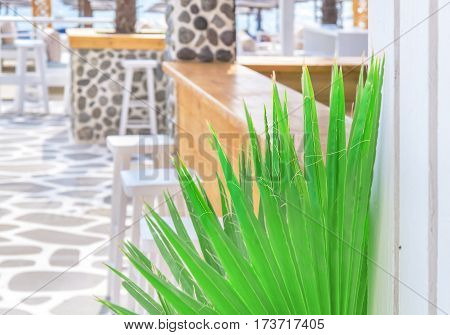 Beach bar close with green reed close up