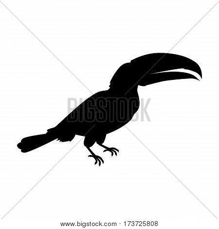 Toucan vector. Animals of rainy Amazonian forests in black color. Fauna of South America. Wild life in tropics concept for posters, childrens books illustrating. Beautiful toucan isolated on white.