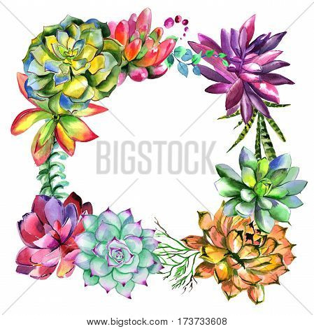 Wildflower succulentus flower frame in a watercolor style isolated. Full name of the plant: succulentus. Aquarelle wild flower for background, texture, wrapper pattern, frame or border.