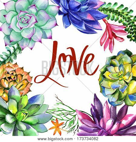 Wildflower succulentus flower frame in a watercolor style isolated. Full name of the plant: succulentus. Aquarelle wild flower for background, texture, wrapper pattern, frame or border.