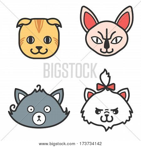 Set of cat icons. Cute persian, naked and scottish cat. Funny friendly purebreed pets. Happy colorful kitties