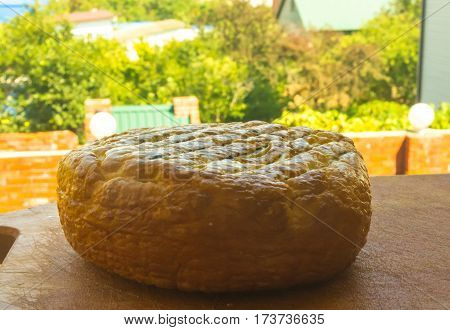 head of traditional Adygei cheese handmade on wooden Board