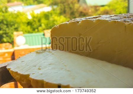 Head Of Traditional Adygei Cheese Handmade