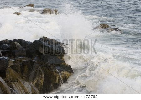 Ocean1