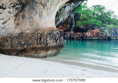 A family of monkeys descended from the trees on the beach and played on a rock near the water in Thailand